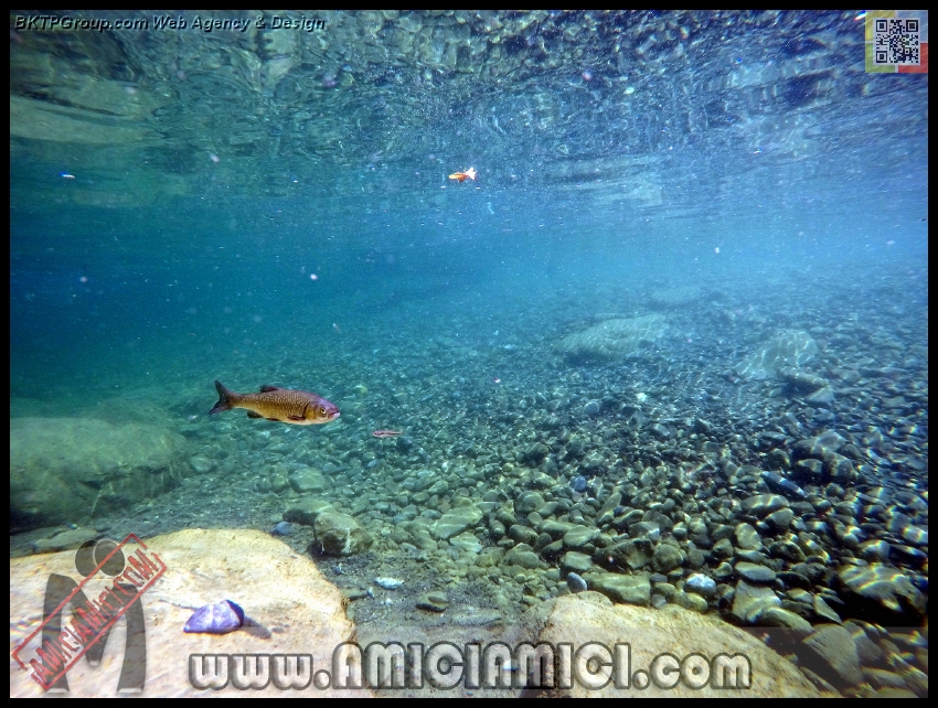 Fiume_Taro_138 - Fiume Taro 2015 - 554 KB