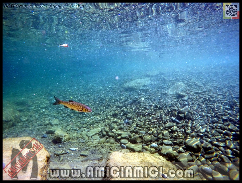 Fiume_Taro_139 - Fiume Taro 2015 - 582 KB