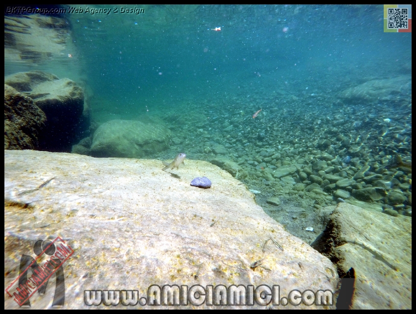 Fiume_Taro_140 - Fiume Taro 2015 - 517 KB