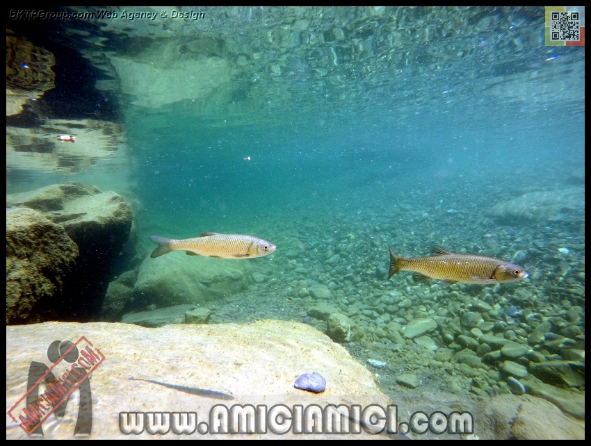 Fiume_Taro_143 - Fiume Taro 2015 - 502 KB
