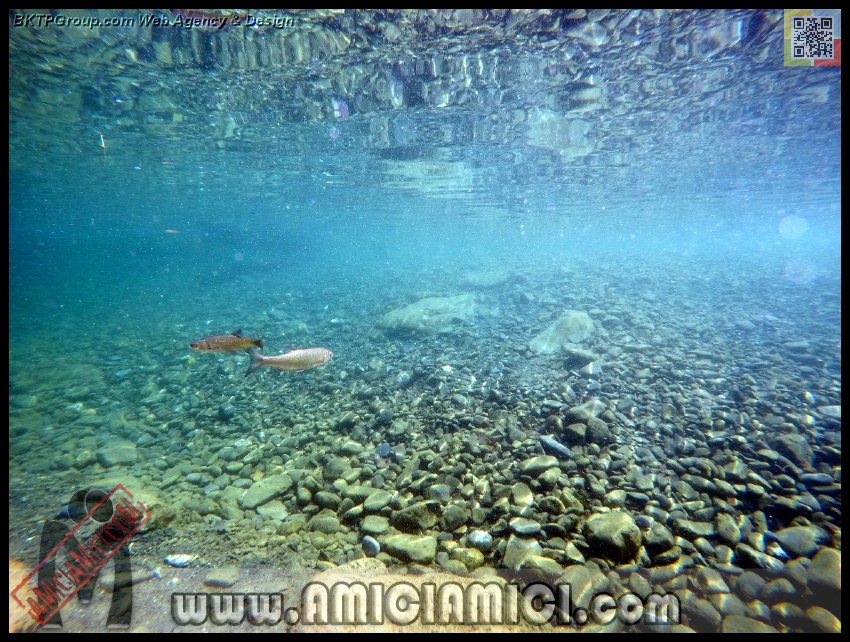 Fiume_Taro_145 - Fiume Taro 2015 - 581 KB