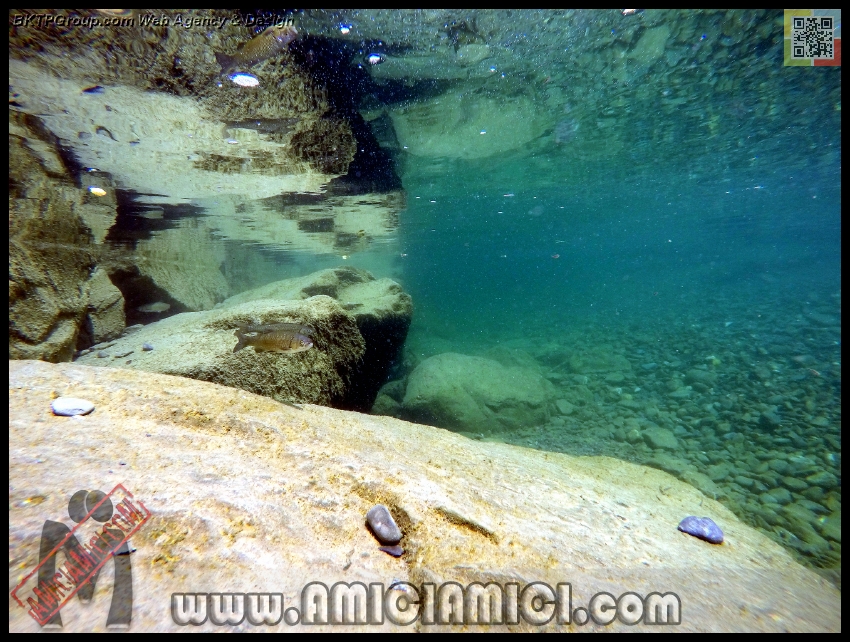 Fiume_Taro_146 - Fiume Taro 2015 - 548 KB