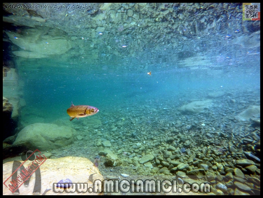 Fiume_Taro_147 - Fiume Taro 2015 - 542 KB