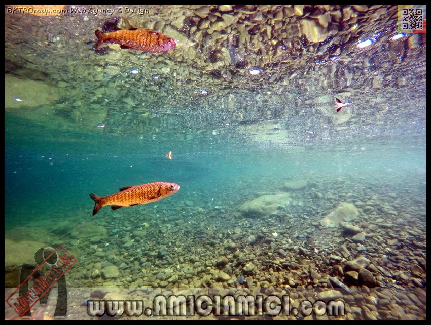 Fiume_Taro_148 - Fiume Taro 2015 - 582 KB