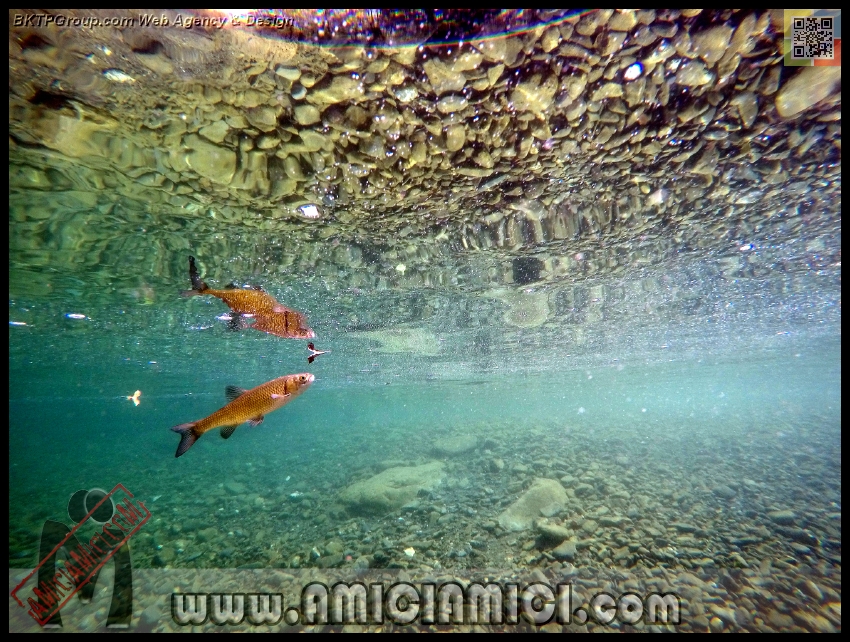 Fiume_Taro_149 - Fiume Taro 2015 - 586 KB