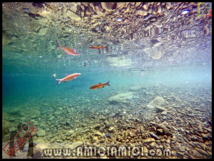Fiume_Taro_150 - Fiume Taro 2015 - 593 KB