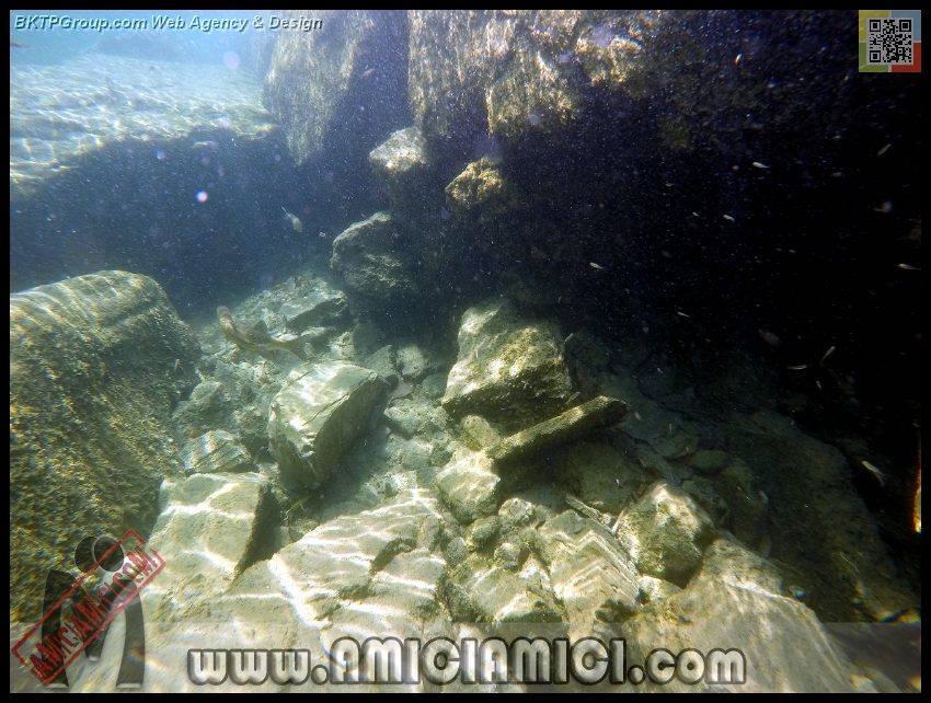 Fiume_Taro_154 - Fiume Taro 2015 - 497 KB