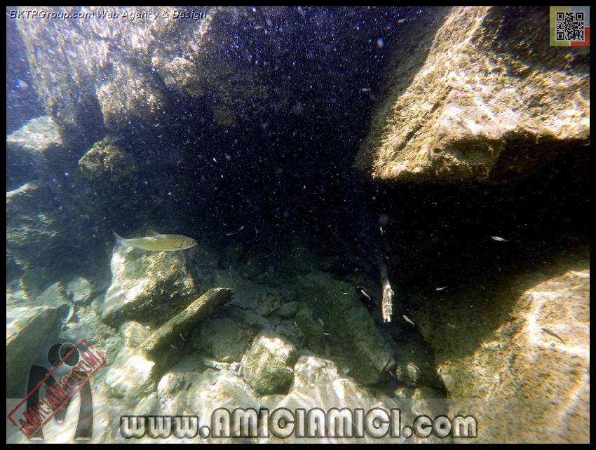Fiume_Taro_156 - Fiume Taro 2015 - 553 KB