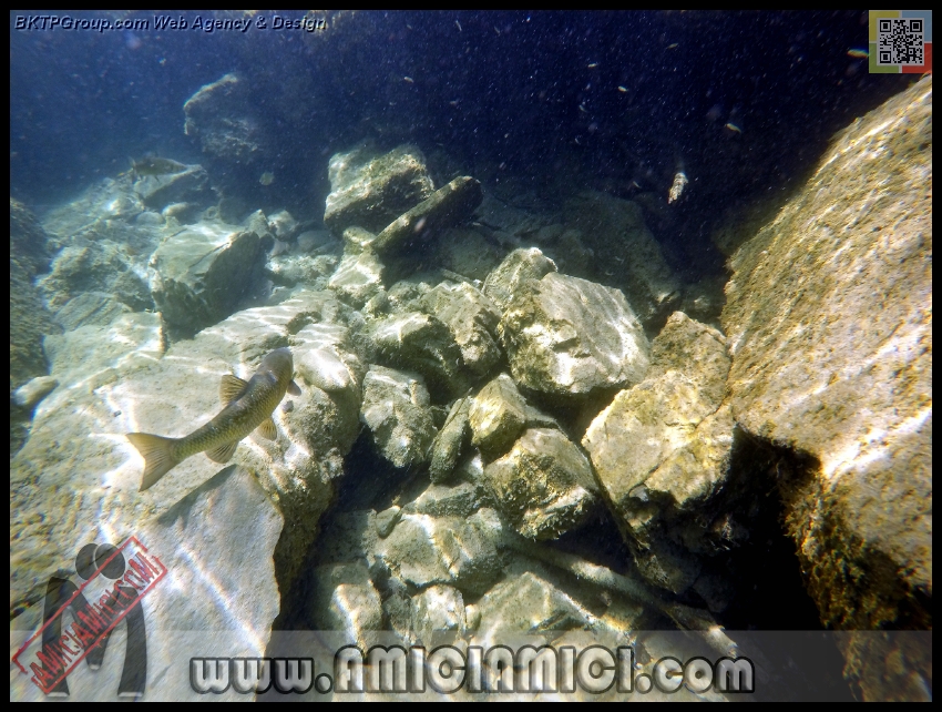 Fiume_Taro_159 - Fiume Taro 2015 - 518 KB