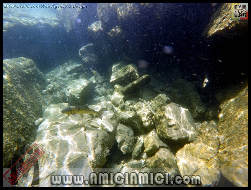 Fiume_Taro_160 - Fiume Taro 2015 - 525 KB