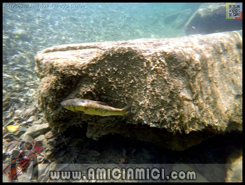 Fiume_Taro_161 - Fiume Taro 2015 - 487 KB
