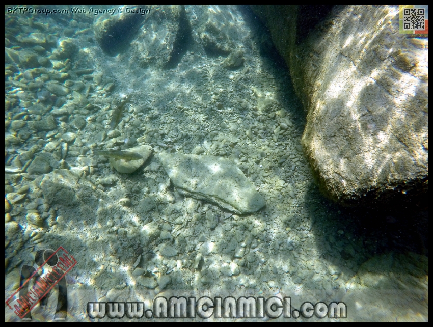 Fiume_Taro_162 - Fiume Taro 2015 - 580 KB