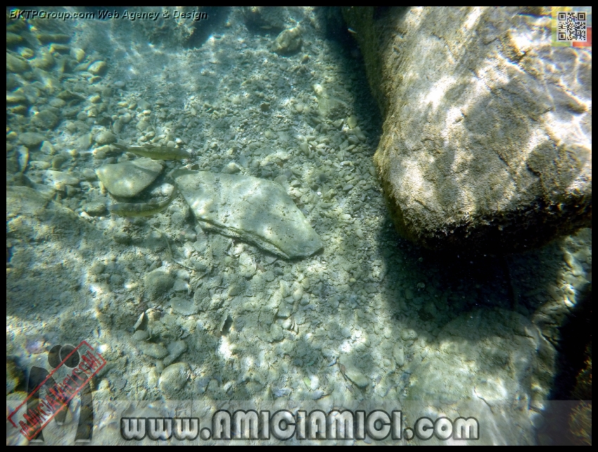 Fiume_Taro_163 - Fiume Taro 2015 - 584 KB