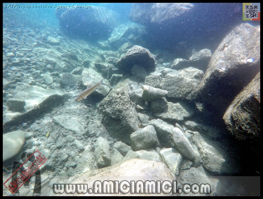 Fiume_Taro_164 - Fiume Taro 2015 - 518 KB