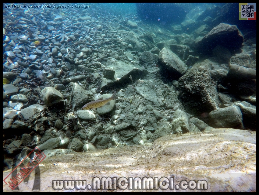 Fiume_Taro_165 - Fiume Taro 2015 - 578 KB