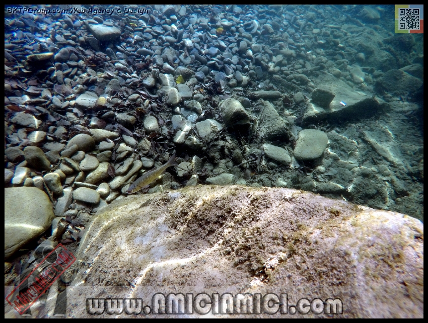 Fiume_Taro_166 - Fiume Taro 2015 - 621 KB