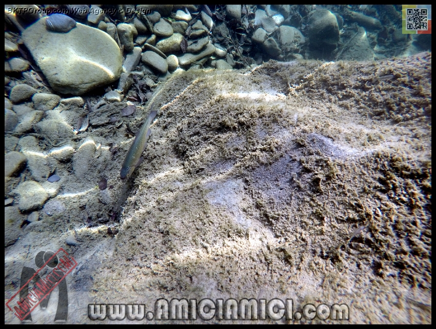 Fiume_Taro_167 - Fiume Taro 2015 - 664 KB