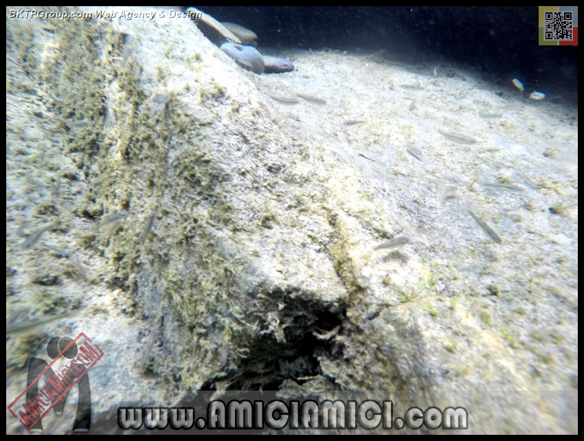 Fiume_Taro_171 - Fiume Taro 2015 - 494 KB
