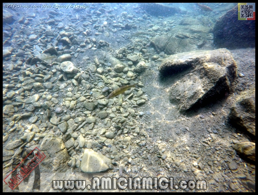 Fiume_Taro_173 - Fiume Taro 2015 - 610 KB