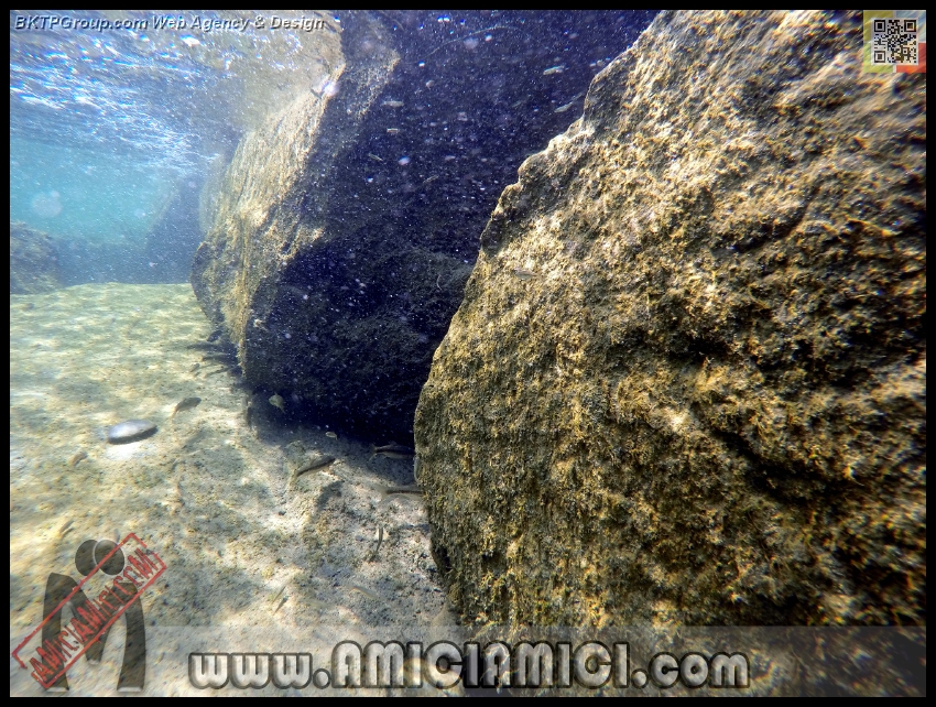 Fiume_Taro_174 - Fiume Taro 2015 - 647 KB