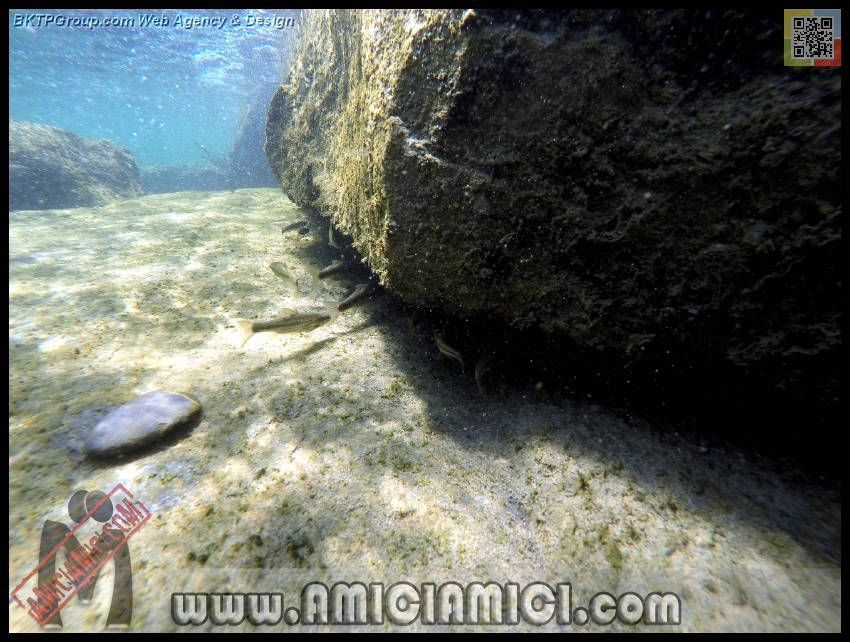 Fiume_Taro_175 - Fiume Taro 2015 - 504 KB
