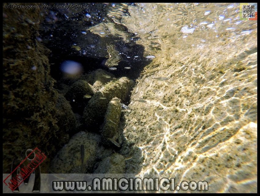 Fiume_Taro_177 - Fiume Taro 2015 - 527 KB
