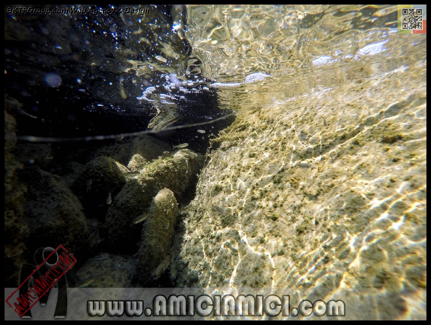 Fiume_Taro_178 - Fiume Taro 2015 - 540 KB