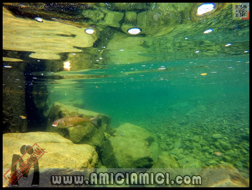 Fiume_Taro_180 - Fiume Taro 2015 - 501 KB