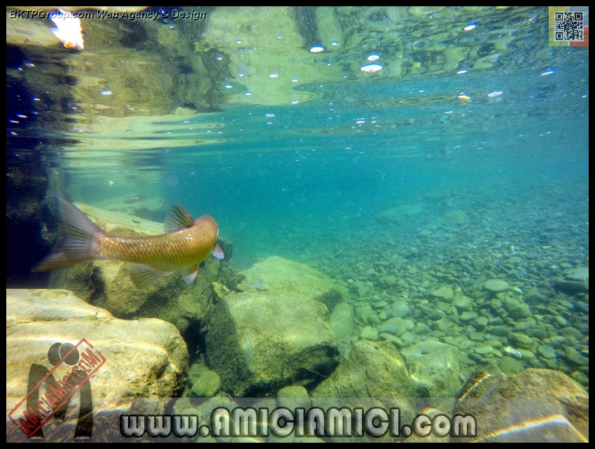 Fiume_Taro_181 - Fiume Taro 2015 - 507 KB