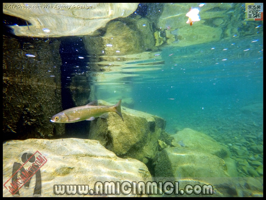 Fiume_Taro_182 - Fiume Taro 2015 - 513 KB
