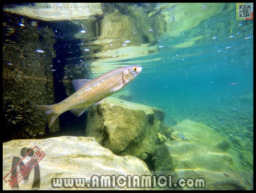 Fiume_Taro_183 - Fiume Taro 2015 - 518 KB