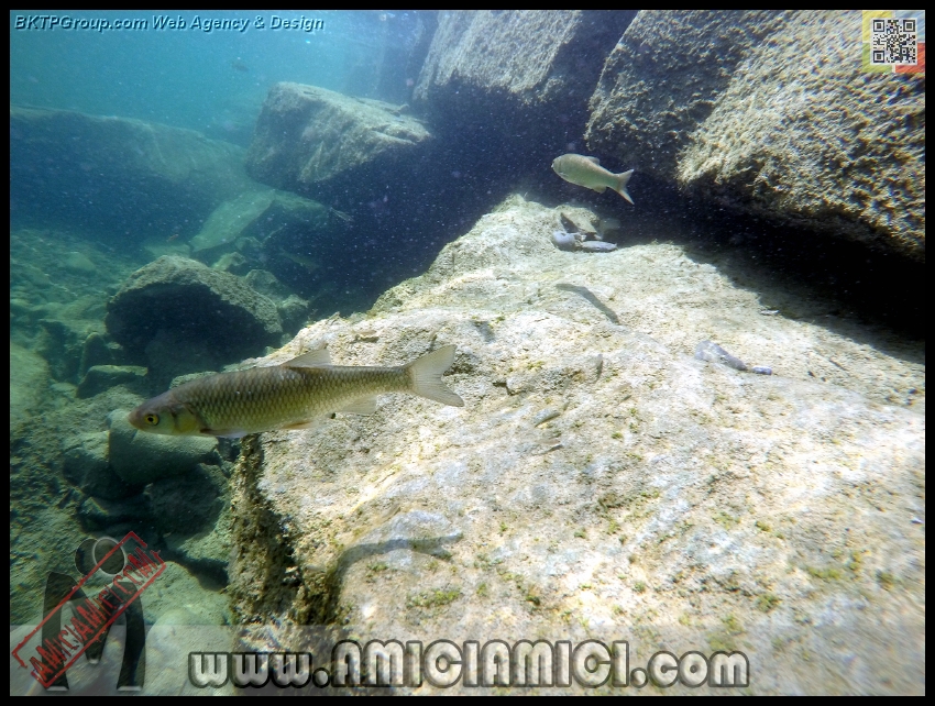 Fiume_Taro_186 - Fiume Taro 2015 - 539 KB