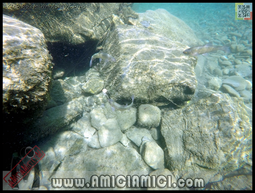 Fiume_Taro_187 - Fiume Taro 2015 - 556 KB
