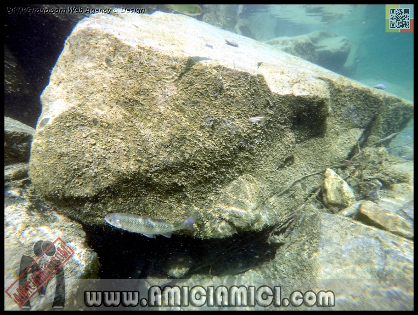 Fiume_Taro_189 - Fiume Taro 2015 - 569 KB