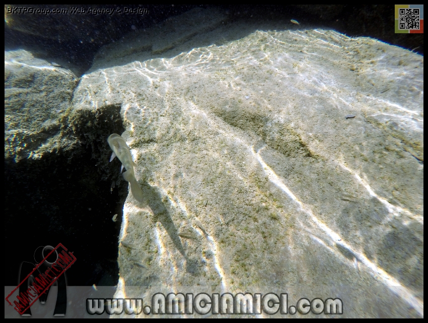 Fiume_Taro_190 - Fiume Taro 2015 - 523 KB