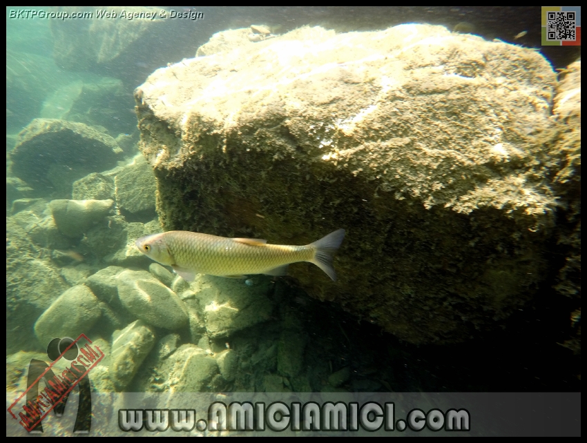 Fiume_Taro_191 - Fiume Taro 2015 - 444 KB