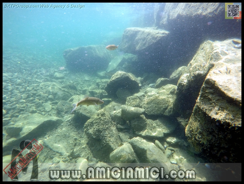 Fiume_Taro_192 - Fiume Taro 2015 - 480 KB