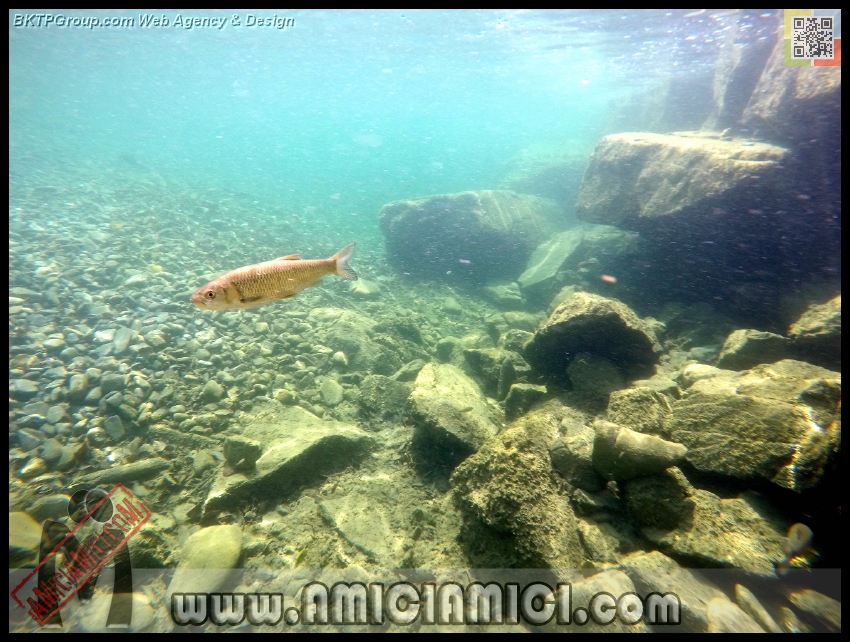 Fiume_Taro_193 - Fiume Taro 2015 - 493 KB