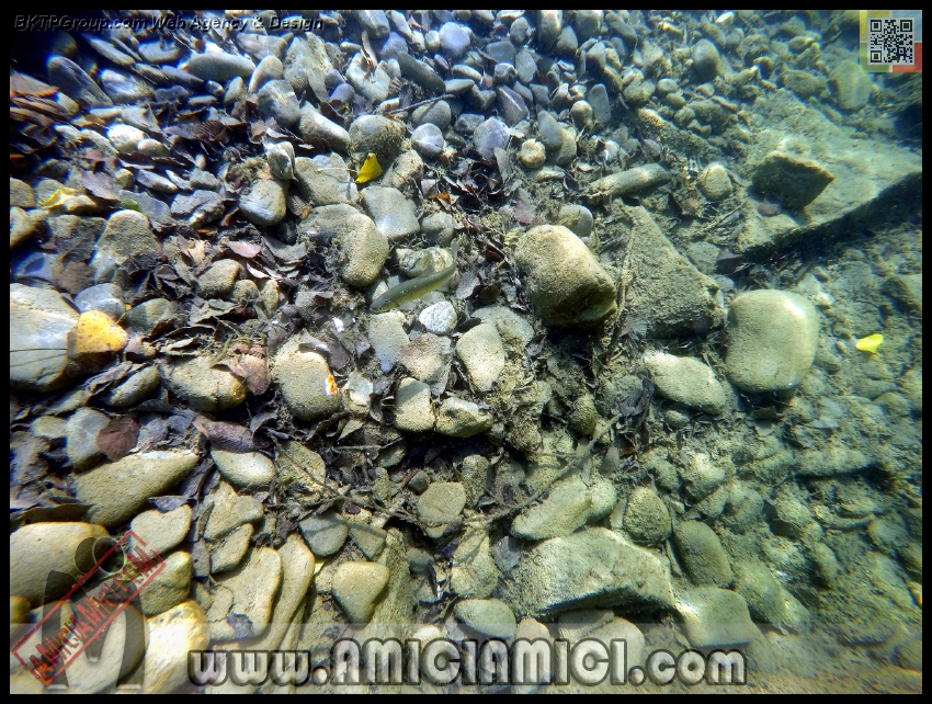 Fiume_Taro_194 - Fiume Taro 2015 - 658 KB