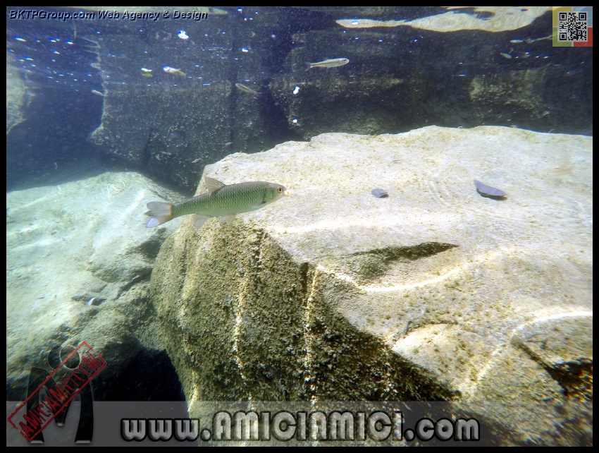 Fiume_Taro_195 - Fiume Taro 2015 - 529 KB
