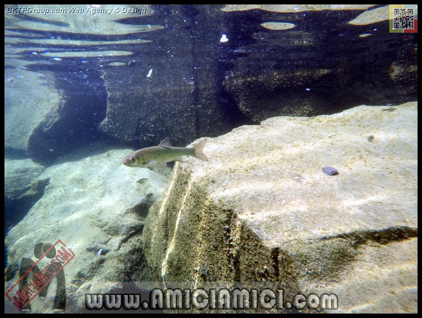 Fiume_Taro_196 - Fiume Taro 2015 - 559 KB