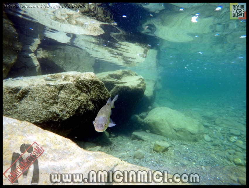 Fiume_Taro_197 - Fiume Taro 2015 - 482 KB