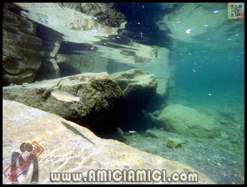 Fiume_Taro_198 - Fiume Taro 2015 - 514 KB