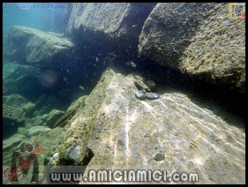 Fiume_Taro_199 - Fiume Taro 2015 - 587 KB