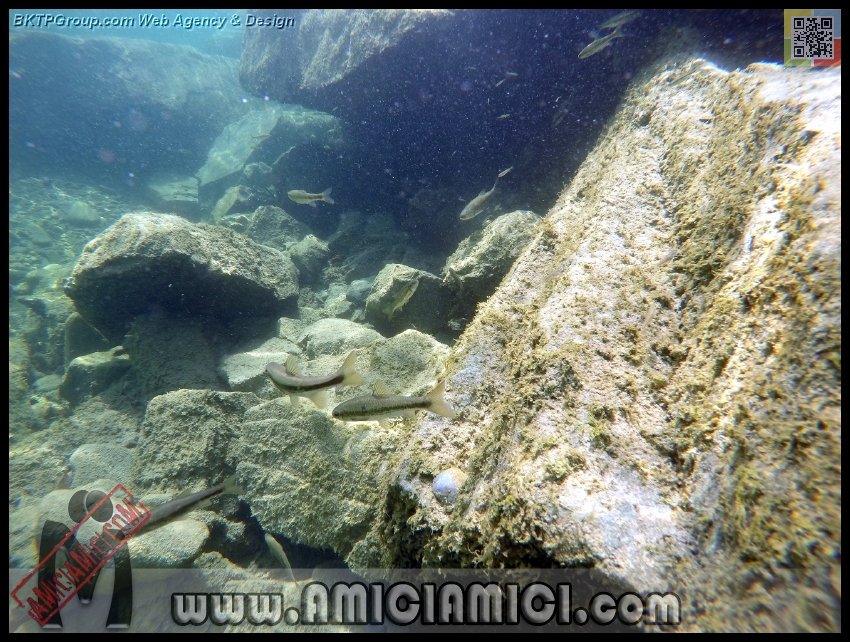 Fiume_Taro_201 - Fiume Taro 2015 - 578 KB