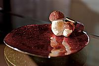 Foto Fungo Porcino in Olio/ Porcino_in_Olio_001