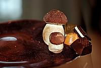 Foto Fungo Porcino in Olio/ Porcino_in_Olio_002