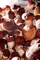 Foto Fungo Porcino in Olio/ Porcino_in_Olio_006