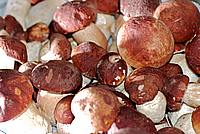 Foto Fungo Porcino in Olio/ Porcino_in_Olio_008