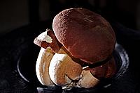 Foto Fungo Porcino in Olio/ Porcino_in_Olio_010